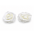 White Aromatic Flower